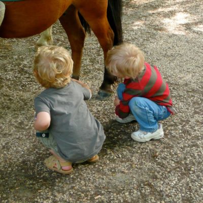 Sortie avec enfants à Paris - Balade à Poney Jardin du Luxembourg