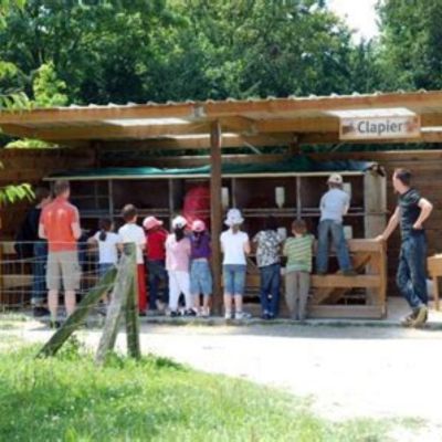 Sortie avec enfants à Paris - La ferme de Paris