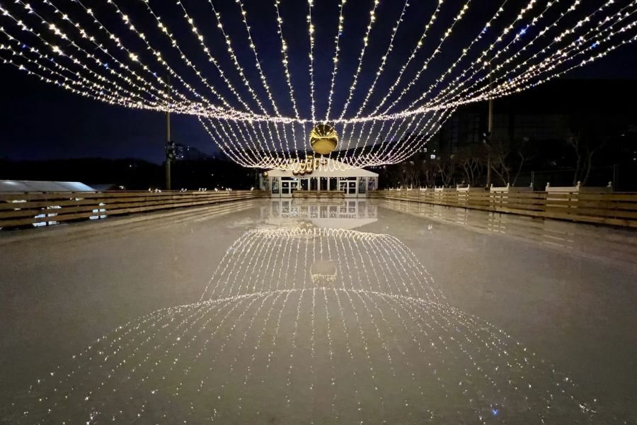 Avis Paris Patins en folie 2025