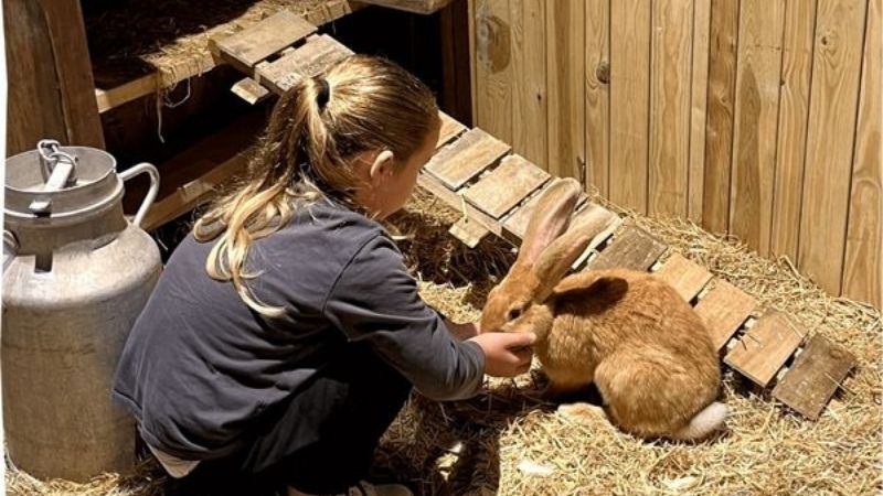 Anniversaire enfant Paris - Le Monde de Noé