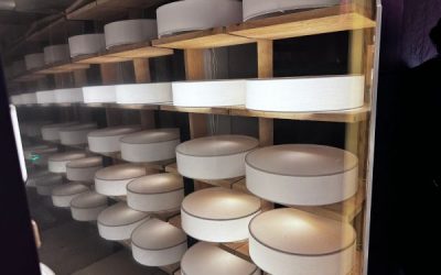 [TEST] Activité gourmande : La Cheese Experience