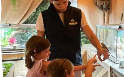 [TEST] Activité pédagogique : Le Monde de Noé