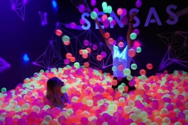 Activités insolites à Paris