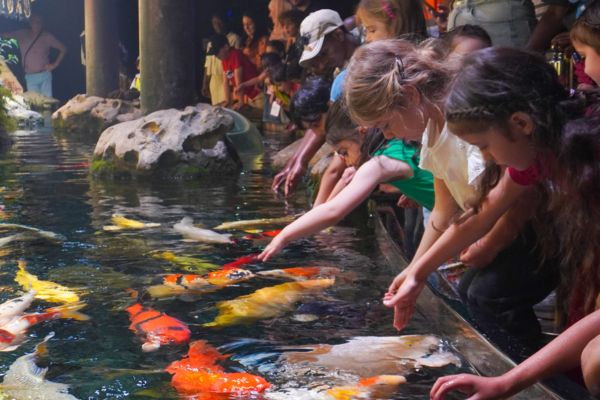 Lieu Activité anniversaire enfant Paris - Aquarium de Paris
