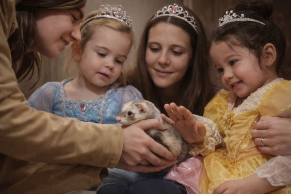 Thème anniversaire enfant - Princesse Le monde de Noé