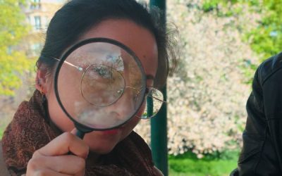 [TEST] La Gazette de  Lutèce